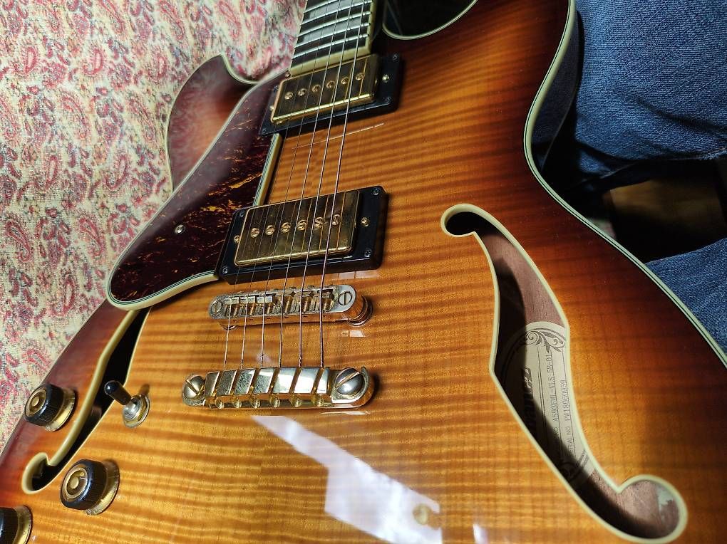 Musikinstrumente: Gitarre linkshänder lefthand lefty – Gebraucht aus Lyss von pet_69c5 4