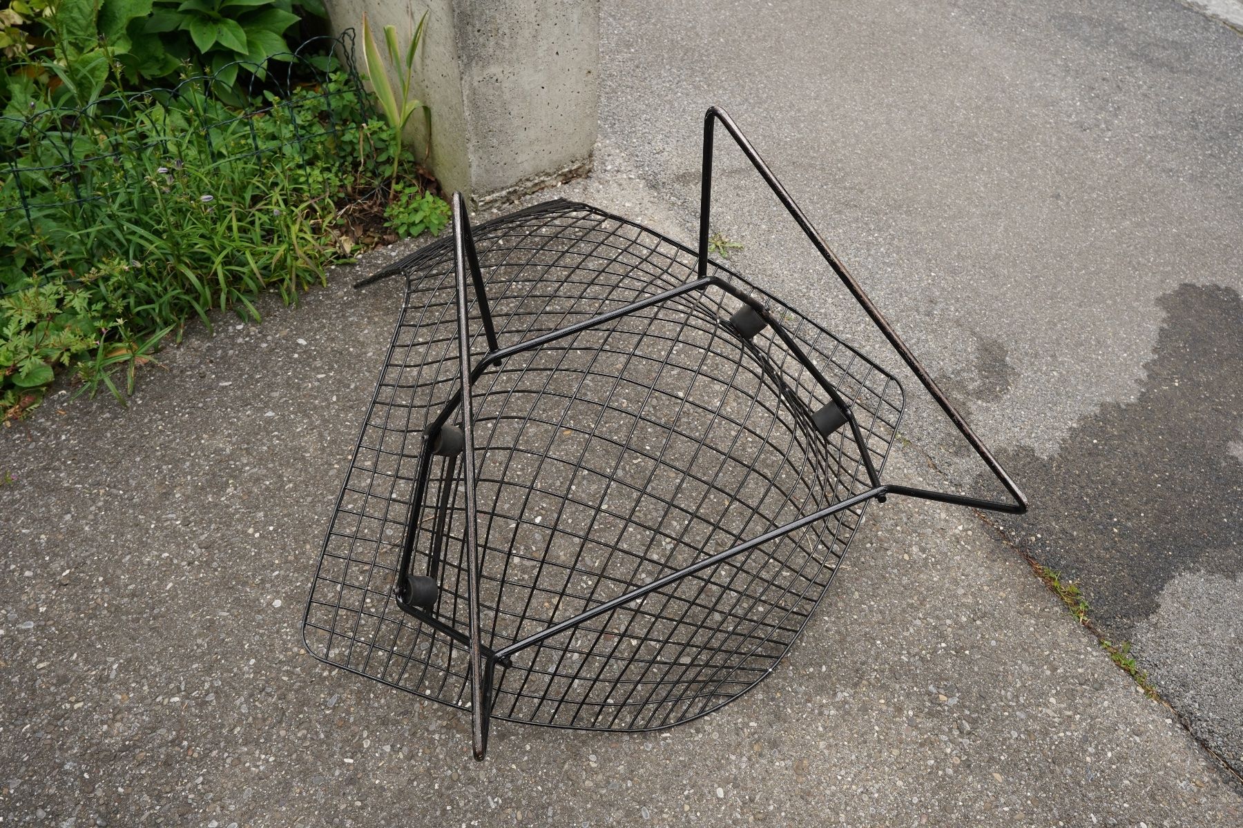 Knoll Sedie: Harry Bertoia Bird Chair – Usato da Bern venduto da Hoechstbietende 7