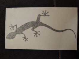 Quattro Gecko Dekorfolie Audi