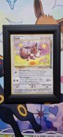 Evoli ( Eevee ) Jungle - 51/64 FR