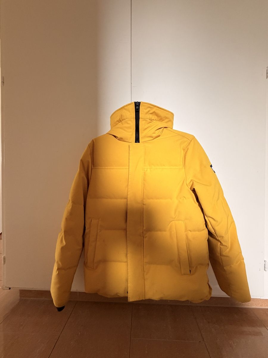 Tommy Hilfiger Giacche: Tommy Hilfiger Winterjacke – Usato da Forch venduto da Speedyrun 2