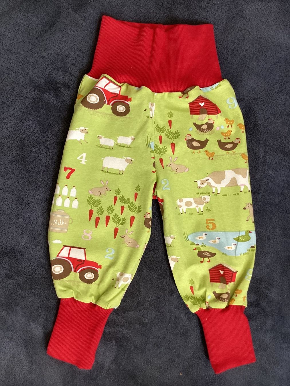 Pantaloni: NEUE Pumphose Bauernhof 74/80 – Nuovo (secondo la descrizione) da Adliswil venduto da Bolline