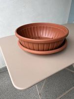 Large pot de fleurs