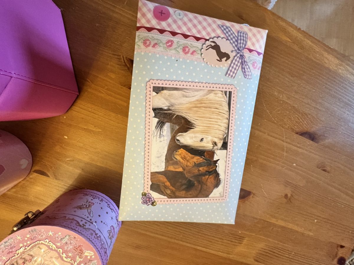 Tutte le decorazioni: 2 accessories box  plus 2 carillon madchen – Usato da Küssnacht am Rigi venduto da ciucchino 4