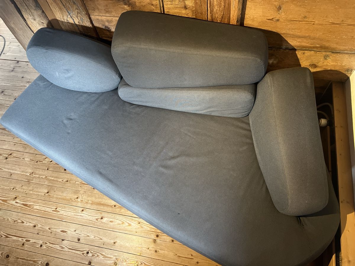 Divani: Designer-Sofa mosspink von Brühl – Usato da Wohlenschwil venduto da SmokyAnnie 5