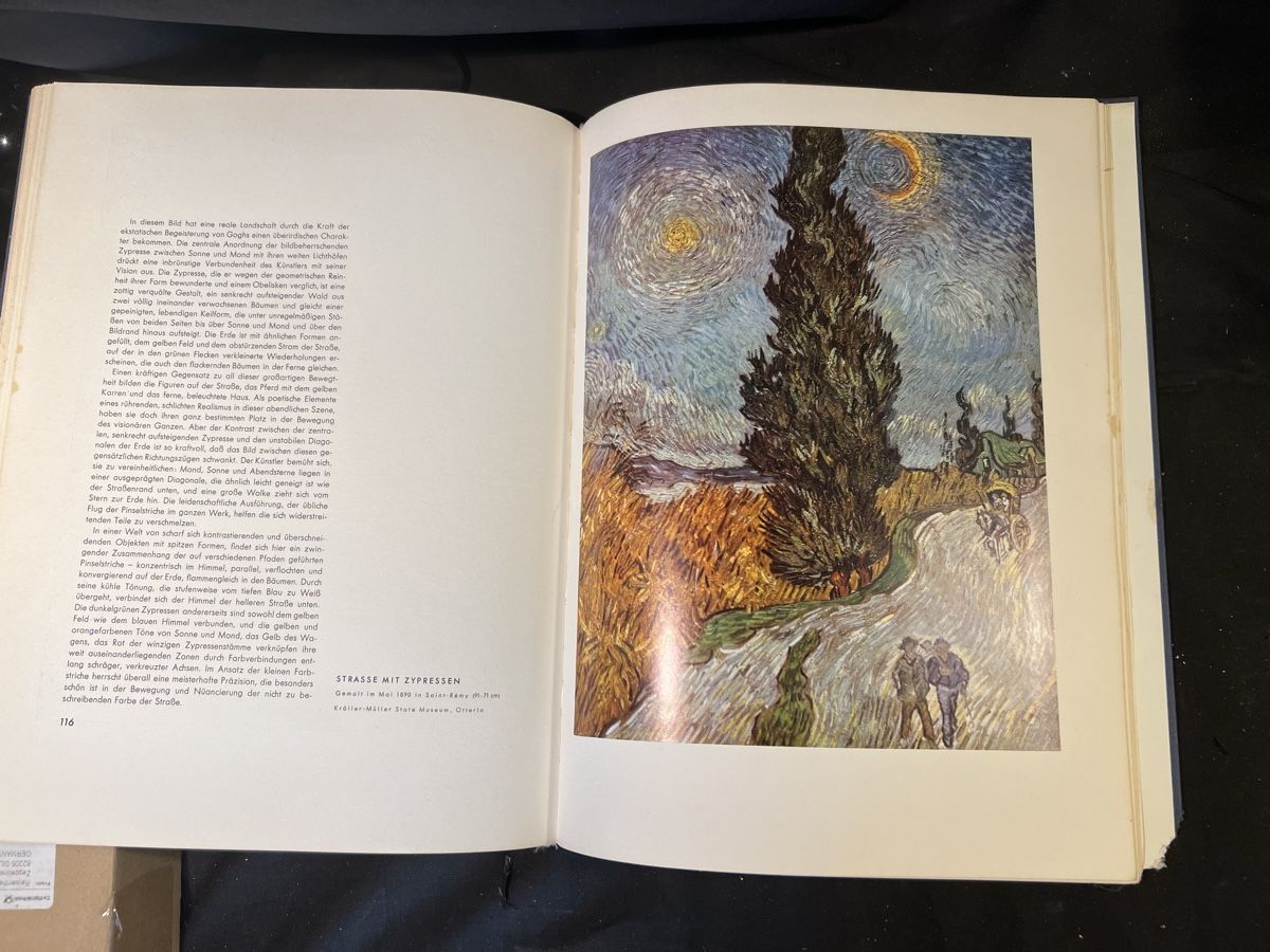 Libri: Vincent Van Gogh – Usato da Niederrohrdorf venduto da beniledergerber 3