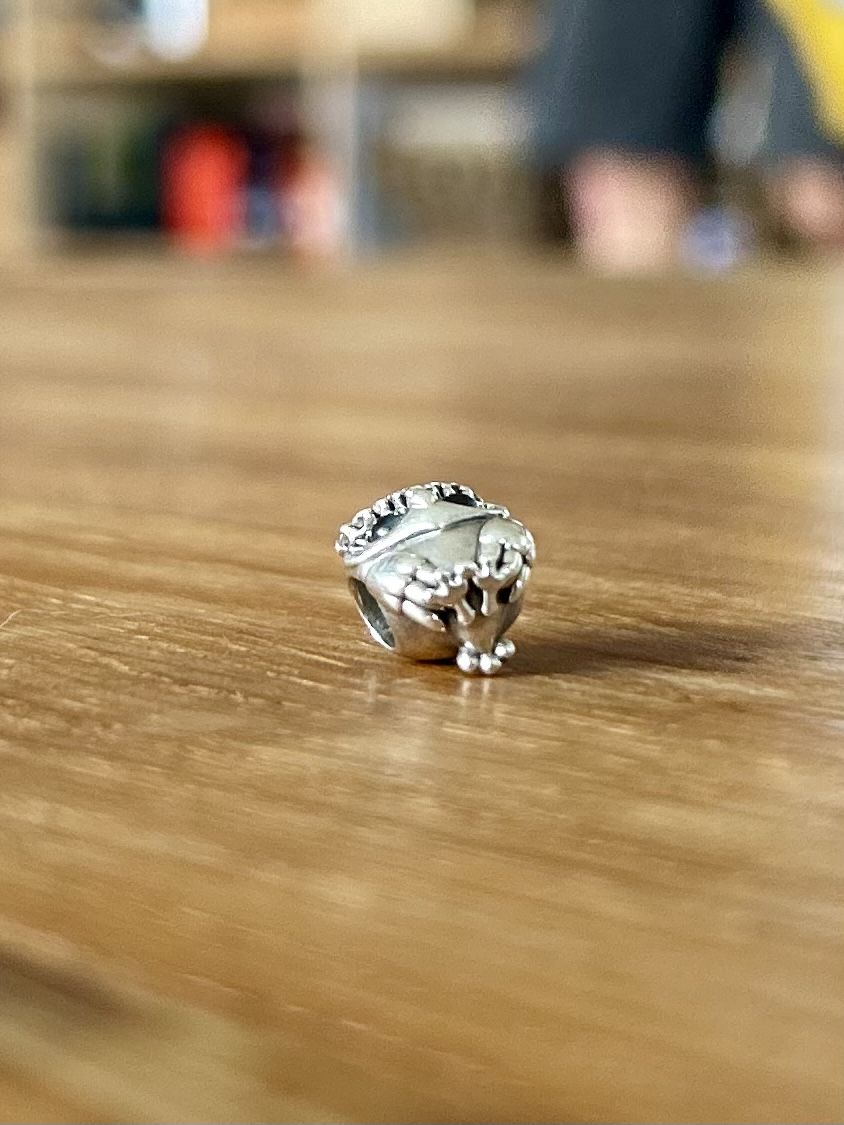 Pandora Ciondoli: Pandora hibou argent – Usato da Biel/Bienne venduto da Laurencemathys 3
