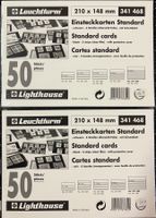 100 Leuchtturm Steckkarten A5 210x148mm - 5 Streifen
