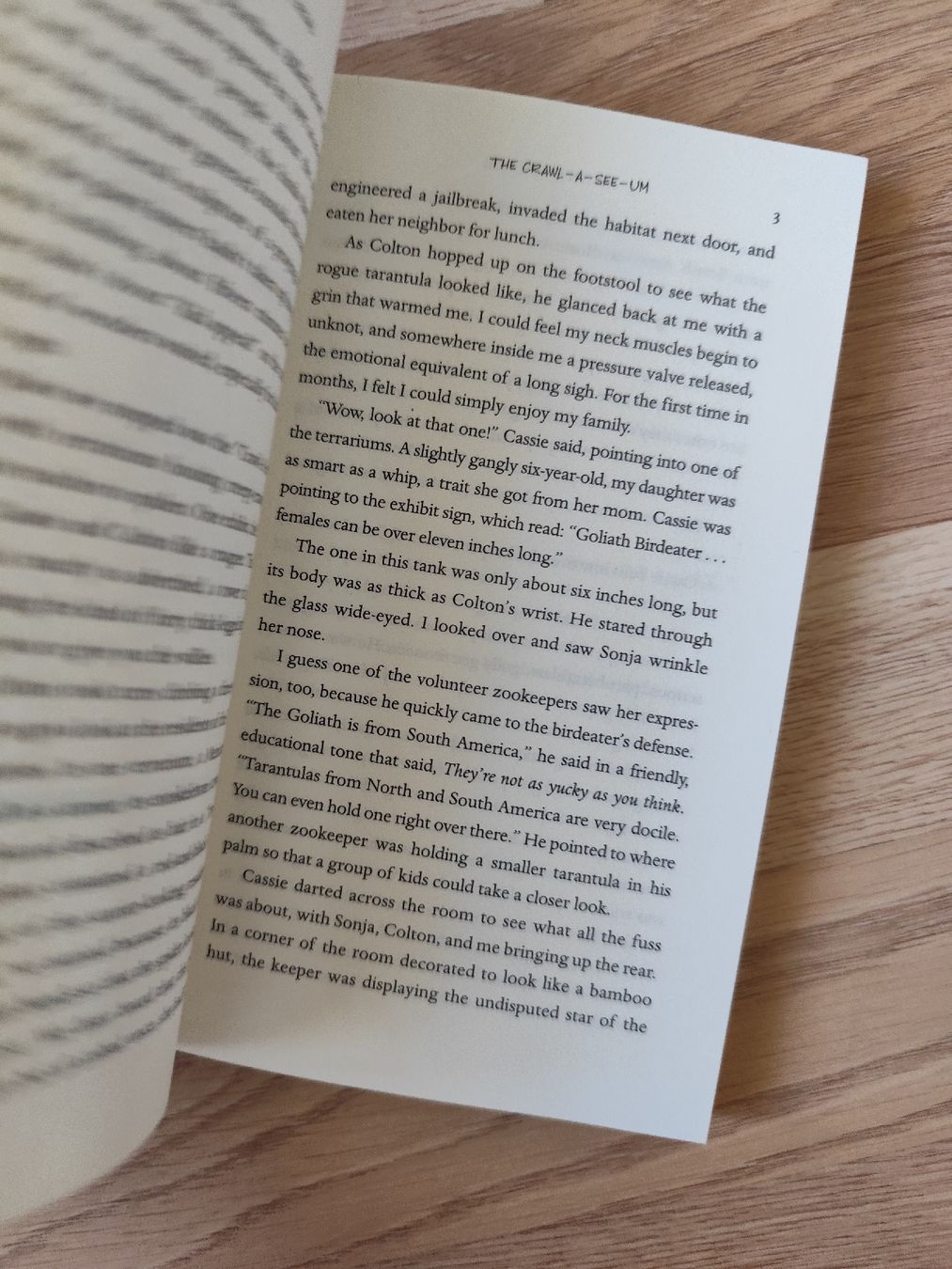 Libri: Heaven Is for Real, Todd Burpo – Usato da Mägenwil venduto da VintageGirly 6