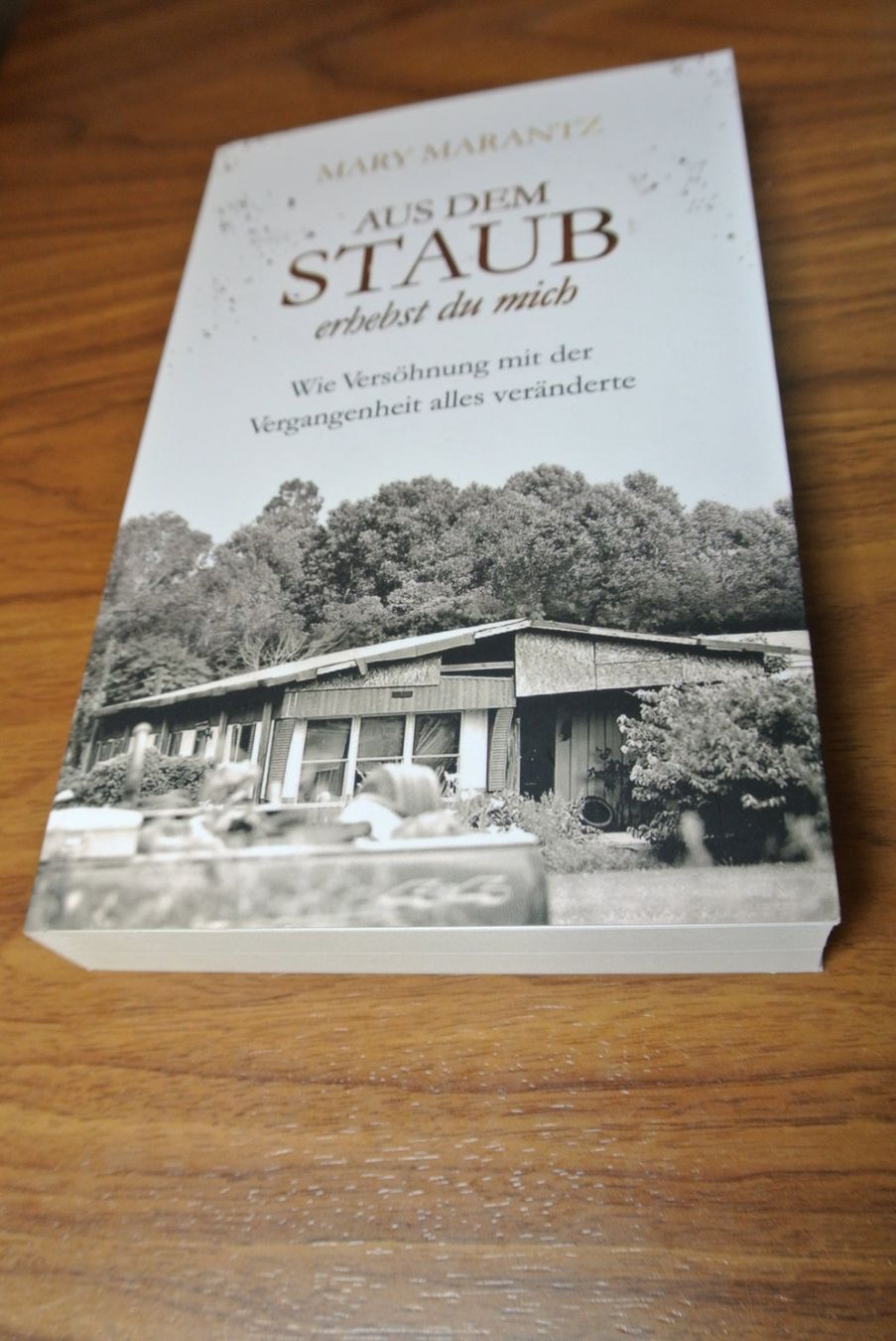 Libri: Aus dem Staub erhebst du mich – Usato da Rüschlikon venduto da Plk1