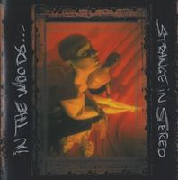 In the woods - Strange...