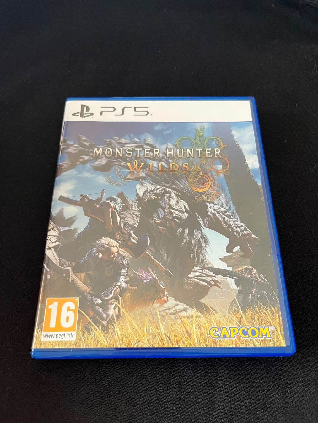 Jeux: Monster Hunter Wilds PS5 – D'occasion à Onex par DanielaD.S.