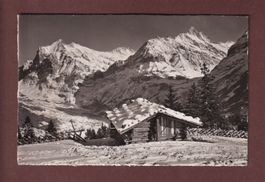 Bei GRINDELWALD