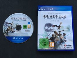 Pillars of Eternity 2: Deadfire für Playstation 4
