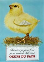 OEUFS DU PAYS POUSSIN 1970 - Affiche originale