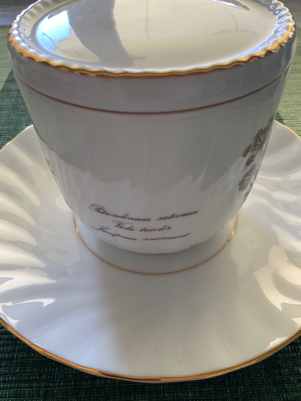 Seltmann Tasses: Tee-Tasse – D'occasion à Oberwil-Lieli par Gloria112 3