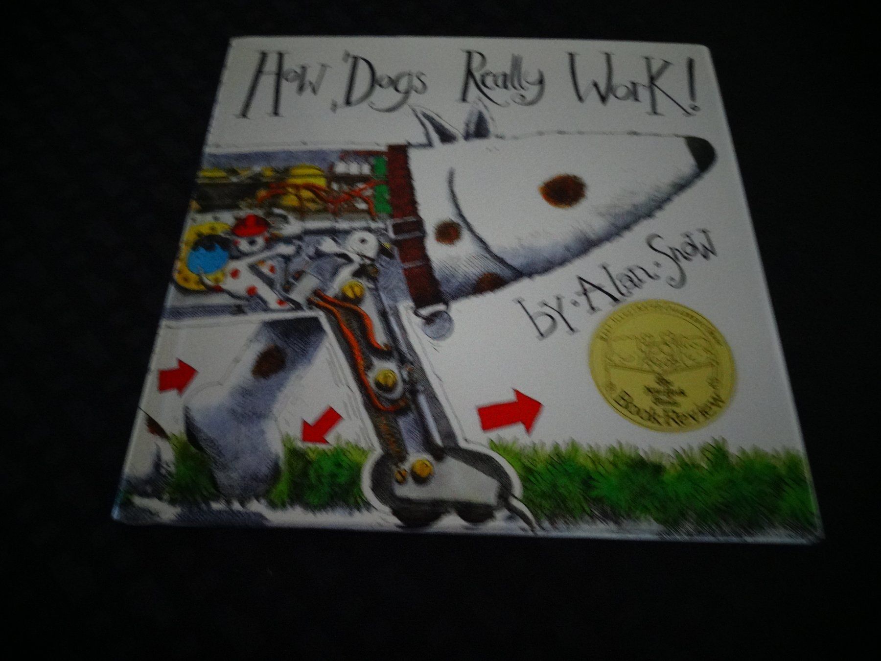 Bücher: How Dogs Really Work – Gebraucht aus Neerach von jenny062