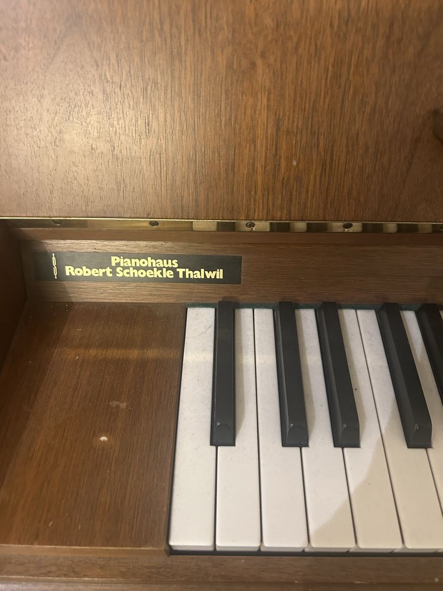 Burger & Jacobi Strumenti musicali: Klavier Burger&Jacobi – Usato da Root venduto da Fwlt 2