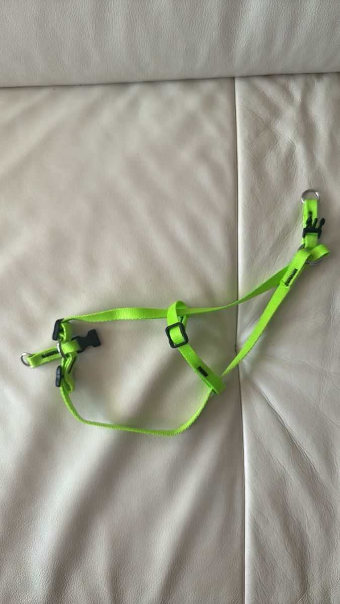 Leine & Halsband: Halsband XS neu – Neu (gemäss Beschreibung) aus Regensdorf von cbr900rr46