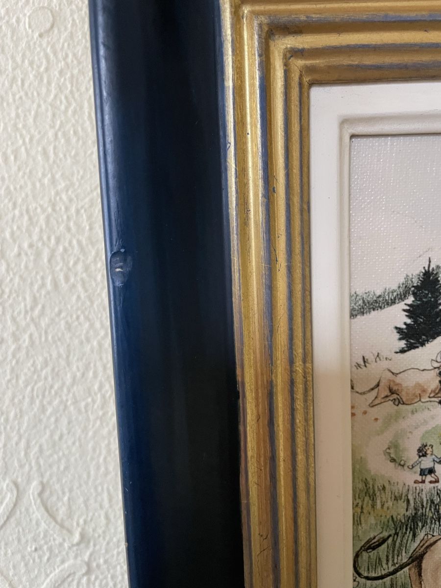 Foto & Immagini: Landschaftsbild – Usato da Flawil venduto da Naphtali 4