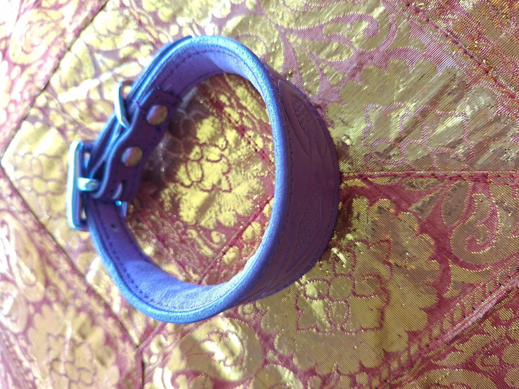 Guinzagli & Collari: Collier bleu petit lévriller, cuir – Nuovo (secondo la descrizione) da Chavannes-Renens venduto da rac_sn2j 1