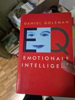 Daniel Goleman Emotionale Intelligenz Buch, sehr gut