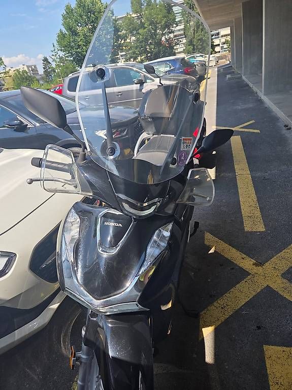 Honda Scooters: Honda SH 125 – D'occasion à Meyrin par mel_kt8f 4
