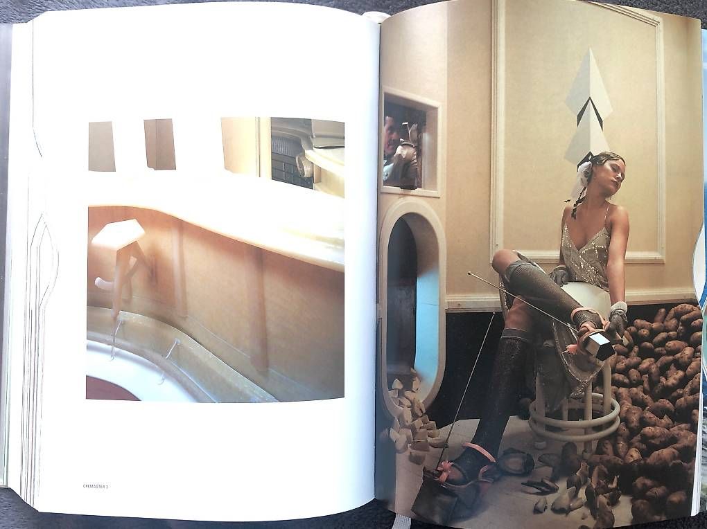 Libri: KUNST MATTHEW BARNEY - THE CREMASTER CYCLE neu! – Nuovo (secondo la descrizione) da Wallisellen venduto da Fax 8