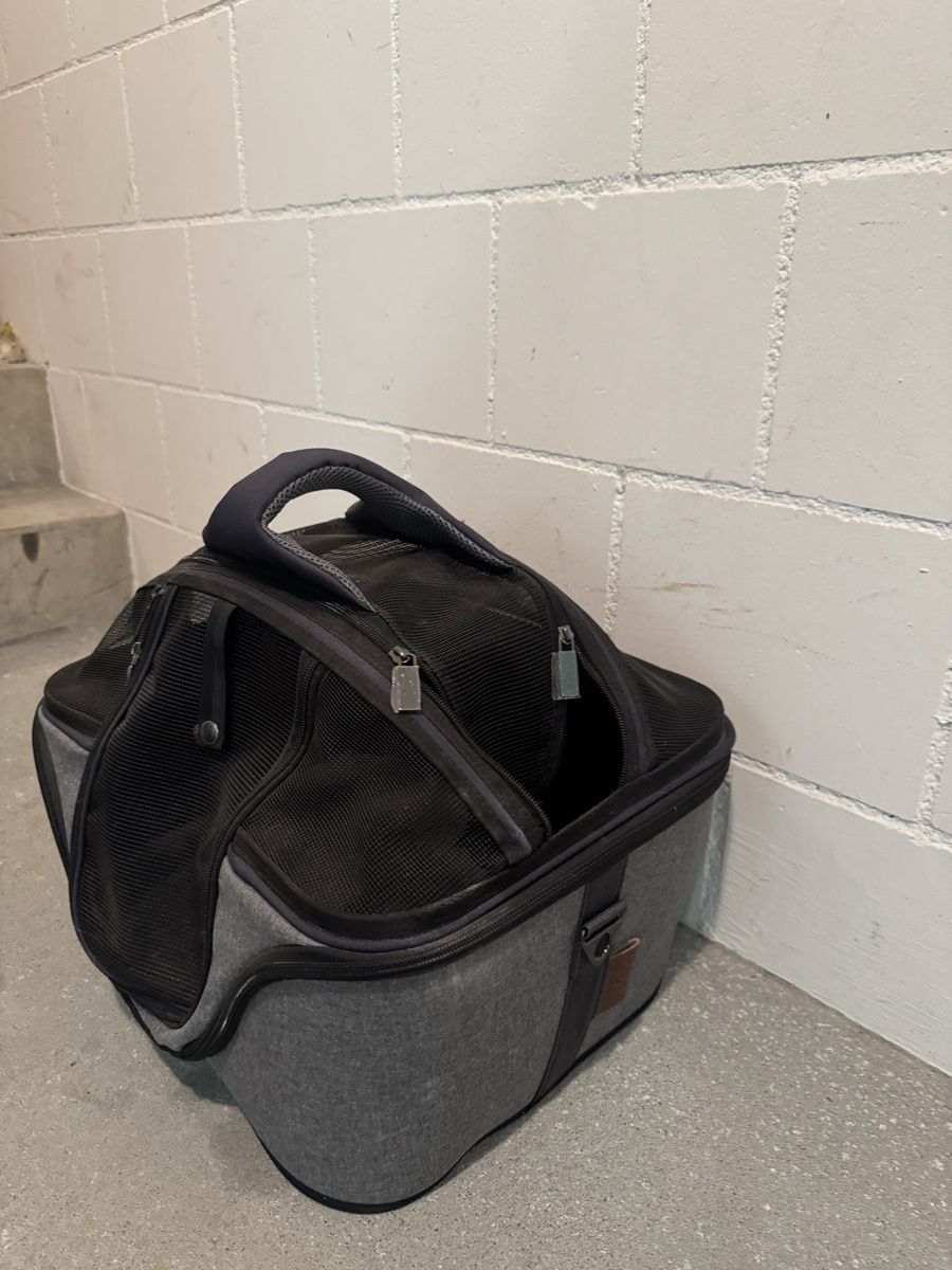 Gabbie, trasporto & Sicurezza: Transportbox – Usato da Villmergen venduto da van_xv9t