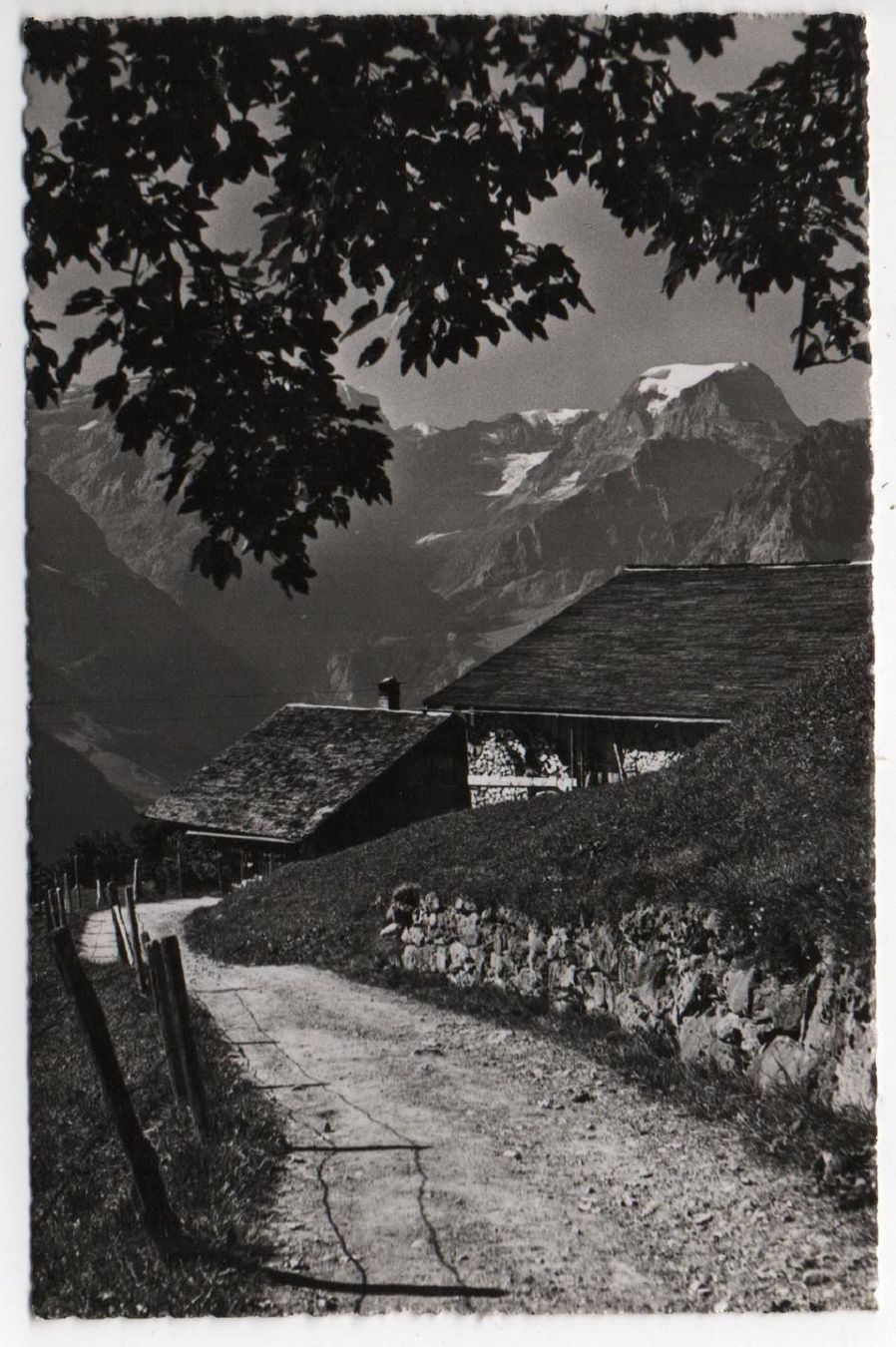 Ansichtskarten: BRAUNWALD mit Tödi – Gebraucht aus Jona von philajona