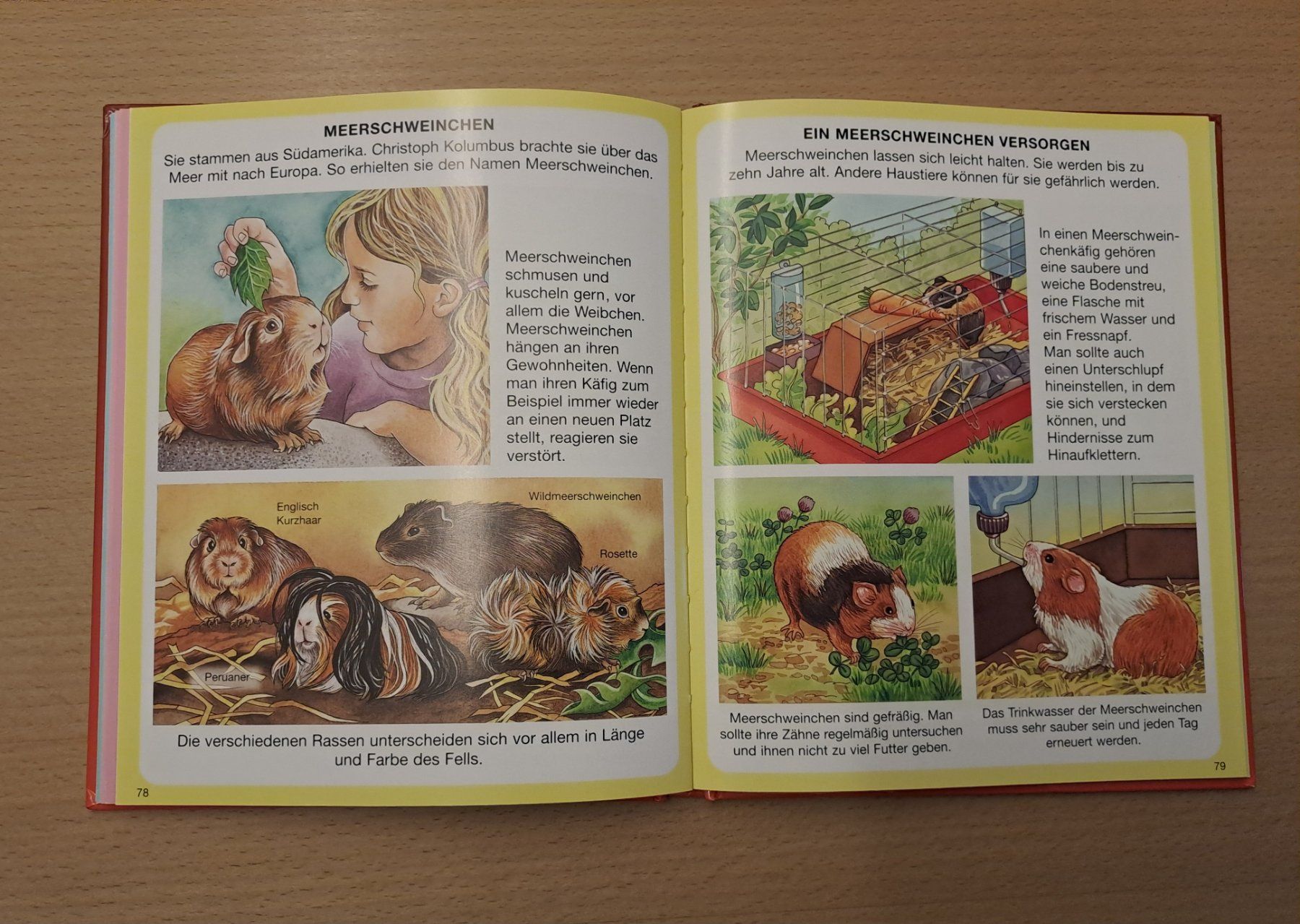 Libri: Haustiere Kinder Buch – Usato da Wädenswil venduto da neonfarbig 6