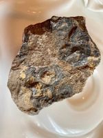 Stromatolith roh Heilstein