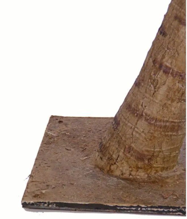 Piante & sementi: Künstliche Phönix Palme HARPER,  330cm – Usato da Ottikon venduto da nag-champa77 3
