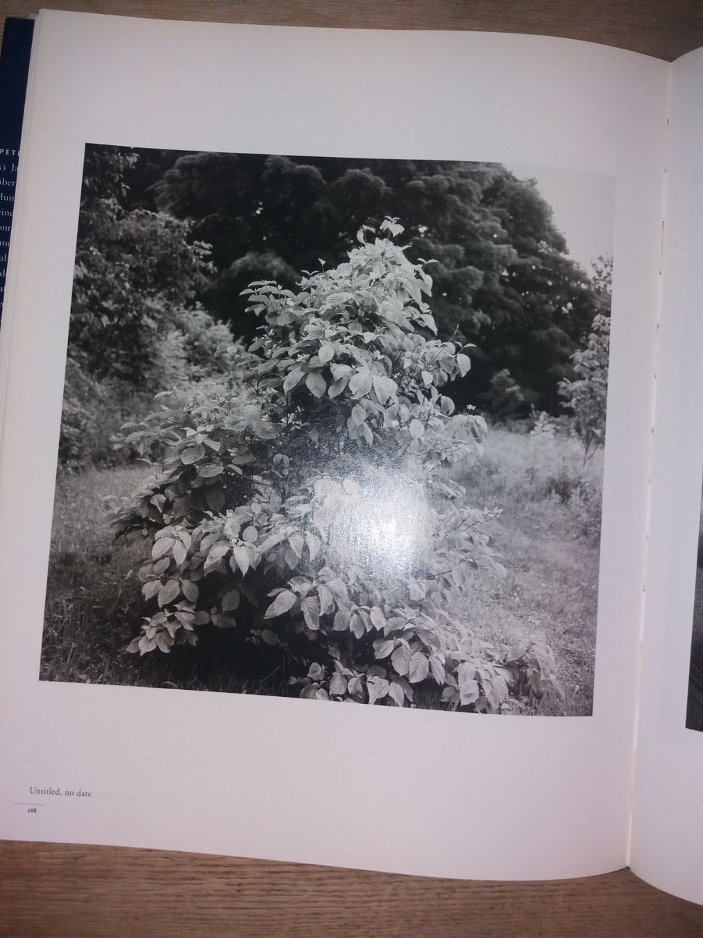 Libri: Peter Hujar Fotoklassiker RETROSPEKTIVE – Usato da Welschenrohr venduto da Regool 1