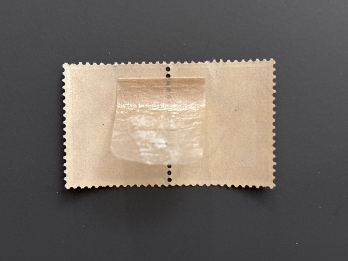Alben: Zusammendruck W 22 "Flugpost 1930" Postfrisch – Gebraucht aus Zürich von sugugus 1