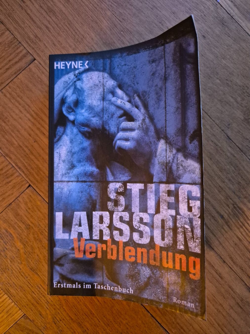 Bücher: Buch "Verblendung" – Gebraucht aus Bern von soledurner