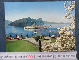 4WALDSTÄTTERSEE IM FRÜHLING  DAMPFSCHIFF