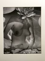 André de Dienes "Studie des Weiblichen Akt"   Fotodruck