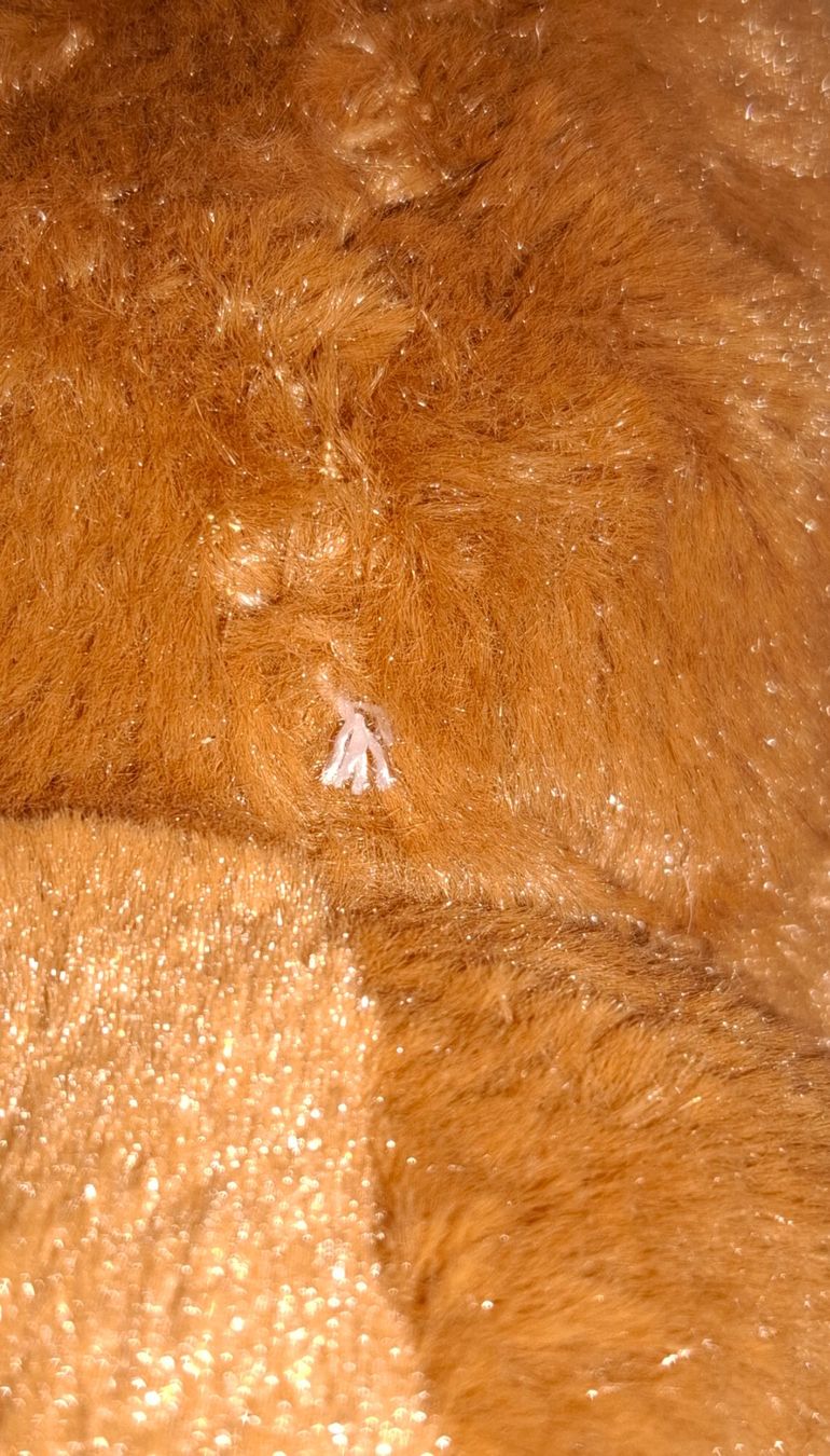 Spielzeuge: Süsser Teddybär sucht neues Zuhause – Gebraucht aus Plagne von Reticulum01 4