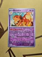 Scarlet & Violet - Dachsbun