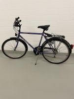 Herren Alpina City Velo