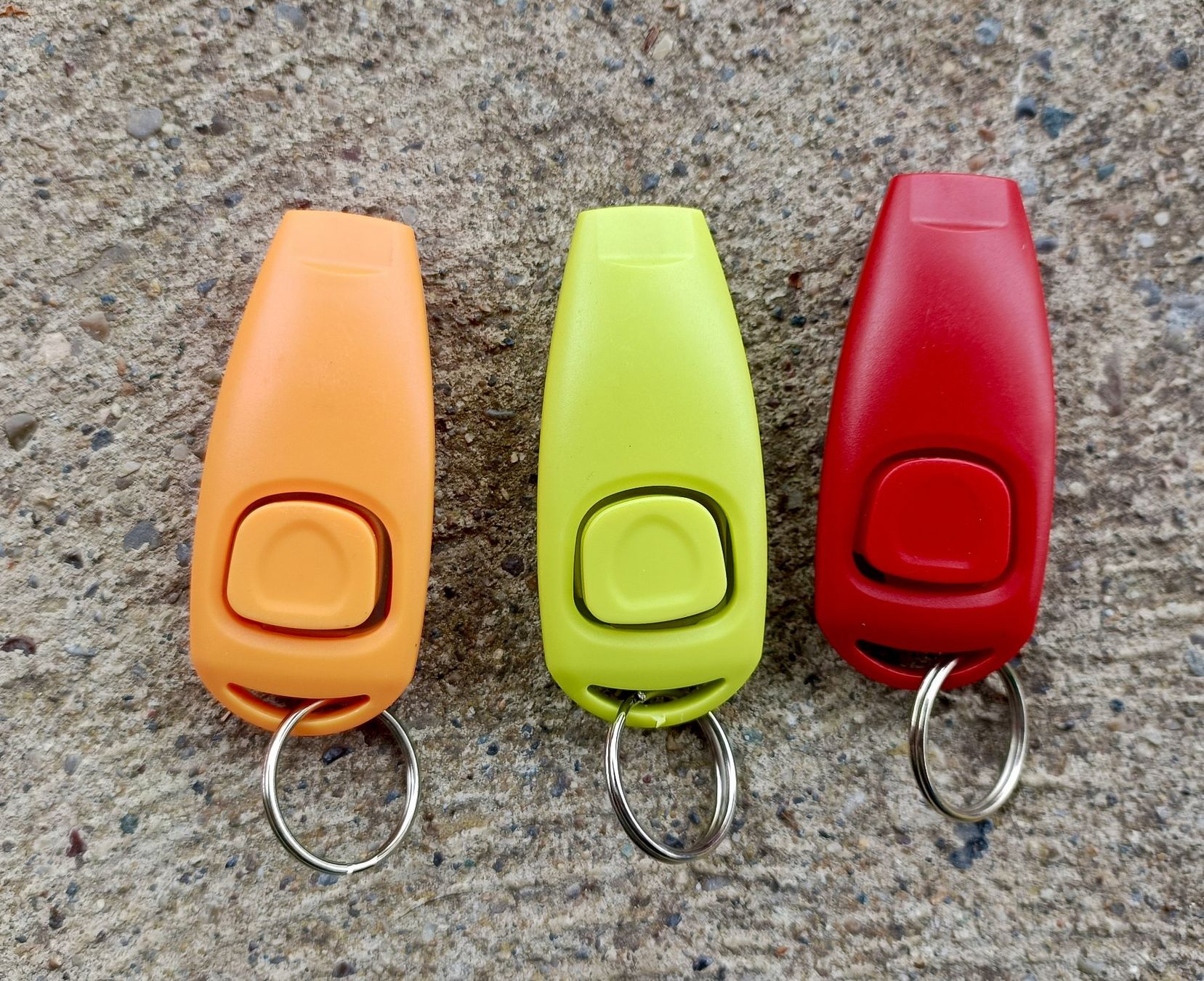 Pipe & Accessori: Clicker mit Pfeife fürs Hunde Training – Nuovo e nell'imballaggio originale da Sitterdorf venduto da imsis