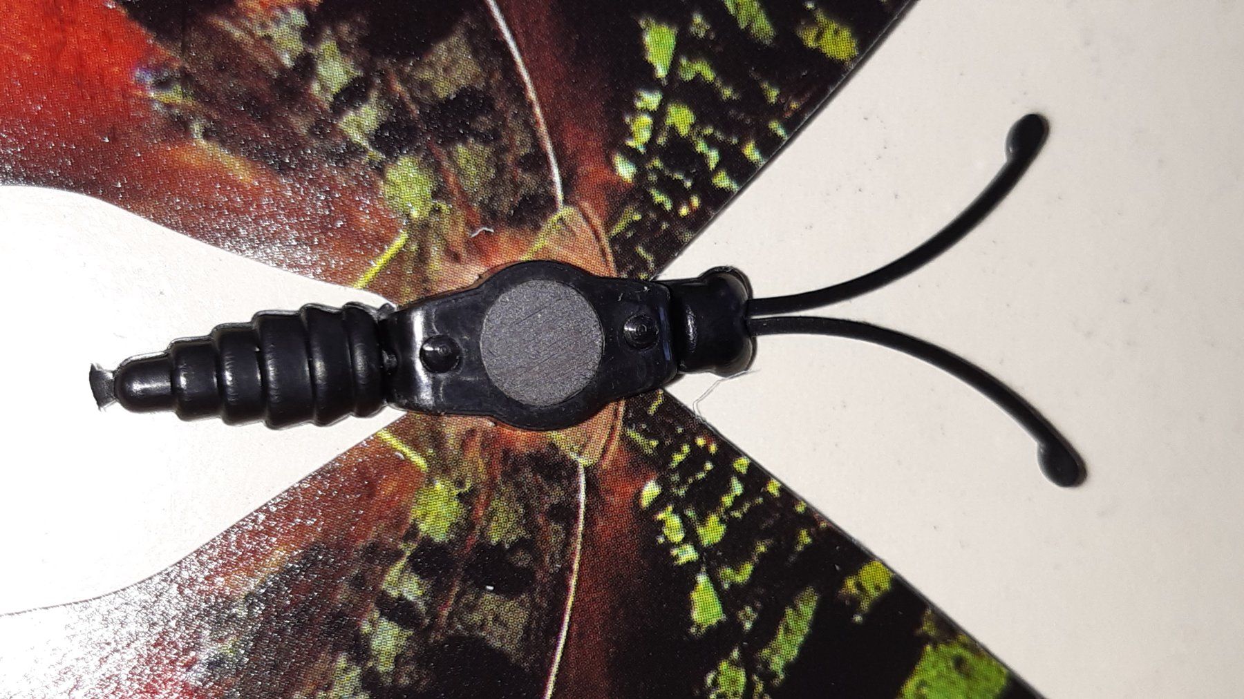 Tutte le decorazioni: 12 Deko Schmetterlinge - Frühling!! – Nuovo e nell'imballaggio originale da Ibach venduto da rom_v8h9 4