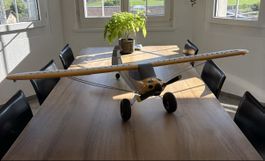 Hobbyzone Carbon Cub S2 RC-Flugzeug – gebraucht / Bastler