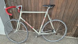 Bianchi rennvelo