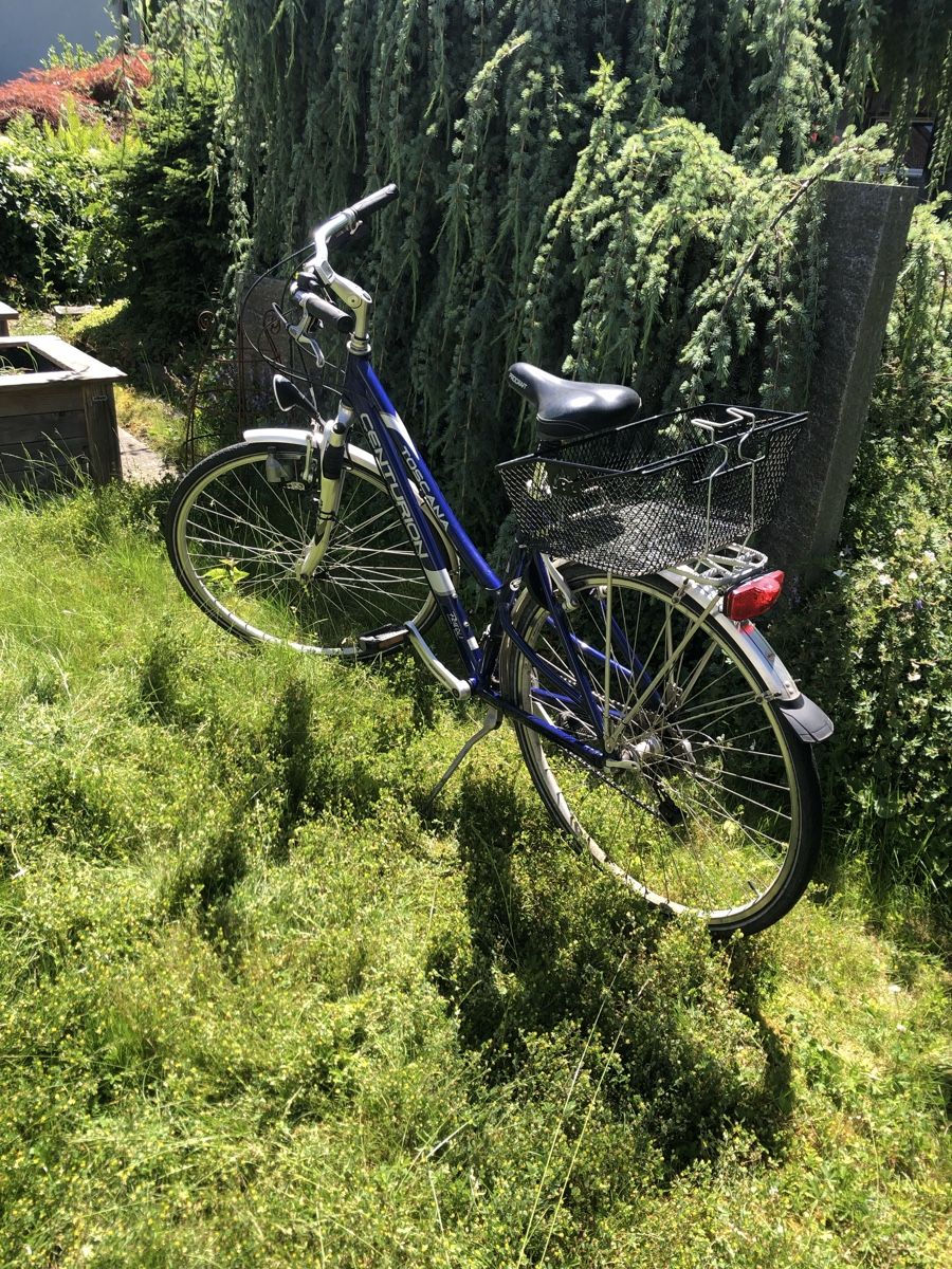 Biciclette: Damenvelo CENTURION – Usato da Bolken venduto da Spinnwebereien 1
