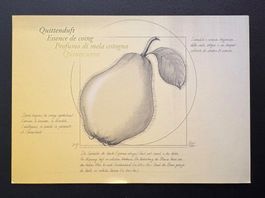 Timbre-poste suisse - édition spéciale 2017