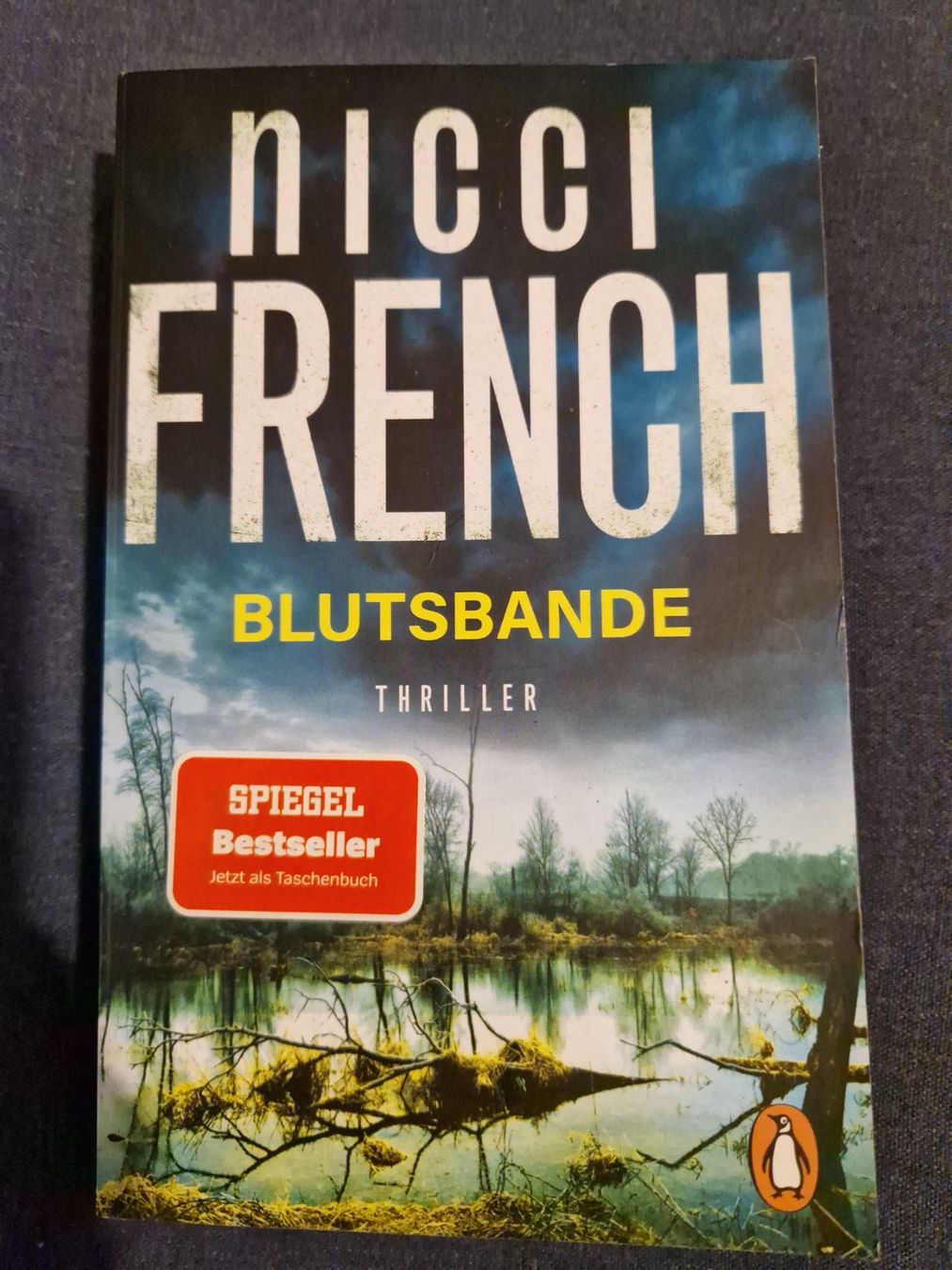 Libri: Nicci French - Blutsbande Thriller – Usato da Neuhausen am Rheinfall venduto da Alchimista