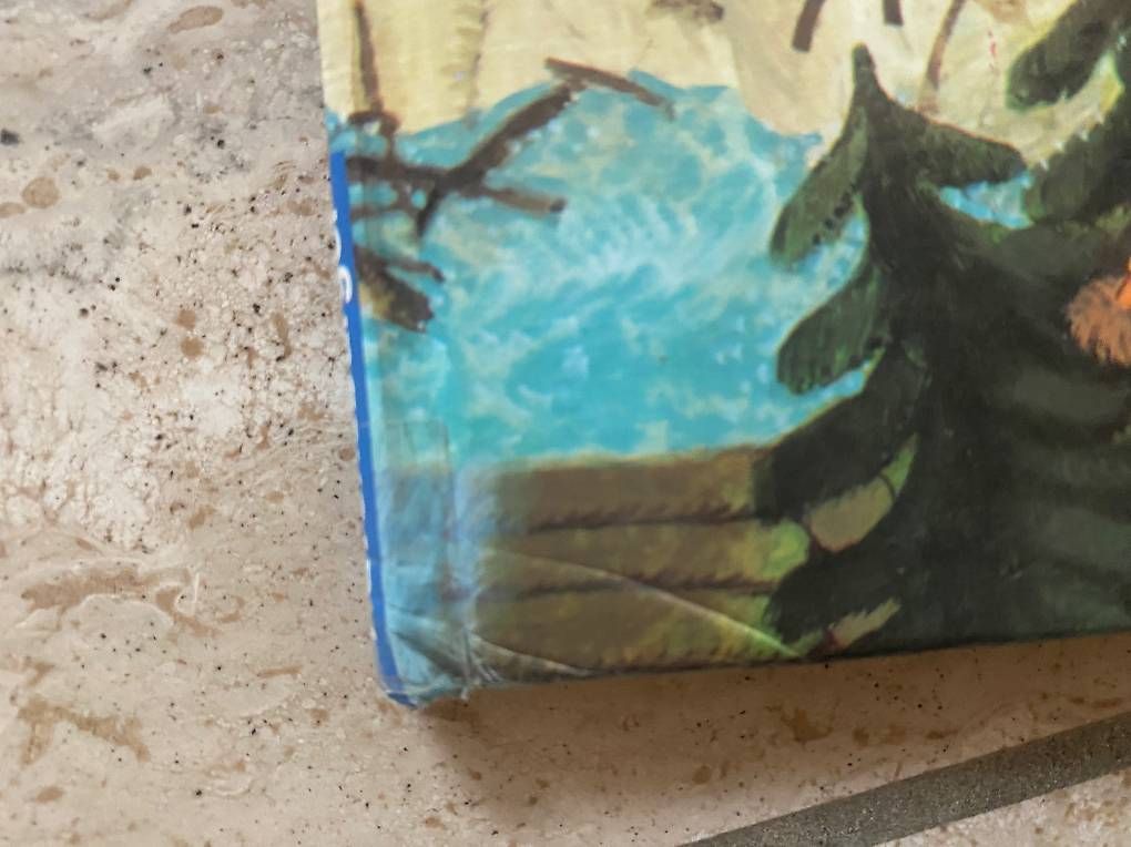 Libri: Ali Mitgutsch Riesenbilderbuch und A4 Buch – Usato da Oetwil an der Limmat venduto da Prinzaessli123 3
