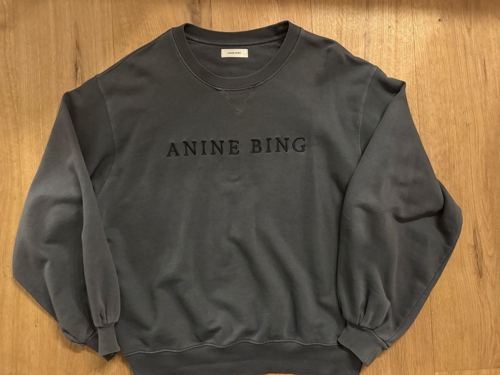 Anine bing cheap esme sweatshirt